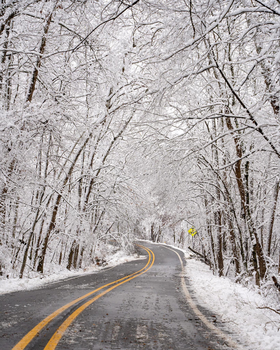 Winter in the Ozarks Lonesome Pine Quilts