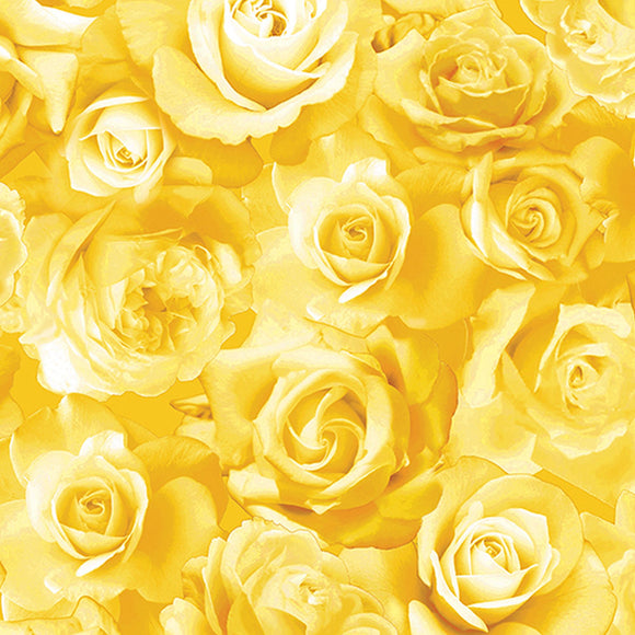 Roses in Bloom Yellow 1451033B