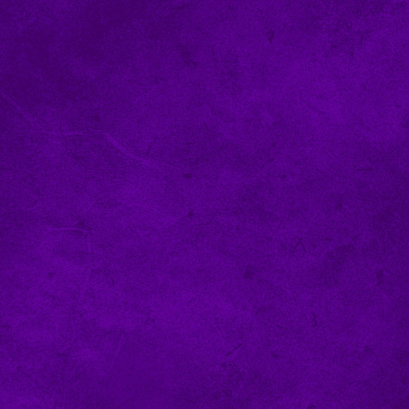 Suede 2 Dark Purple Tonal 108