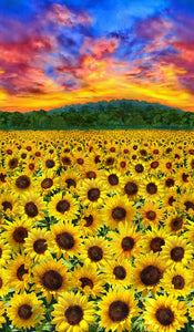 Sunflower Sunset 24" x 44" Panel C1131 from Timless Treasures by the panel