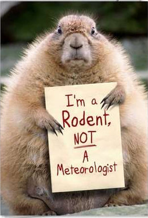 The Truth About Ground Hog Day