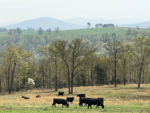 It's Spring Time In The Ozarks