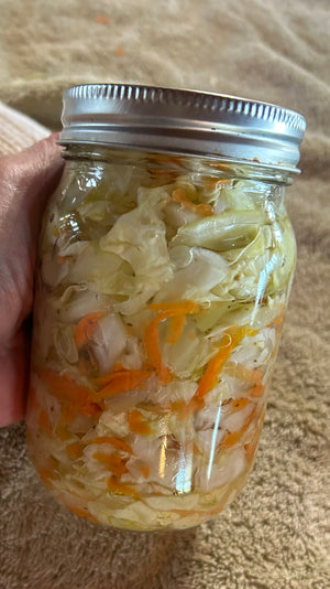 Recipe Wednesday - Canned Coleslaw