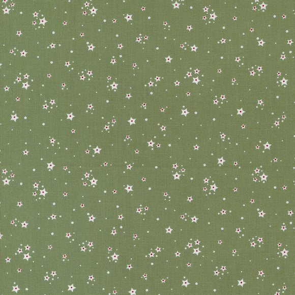 Starberry 29187-23 Green by Corey Yoder from Moda by the yard