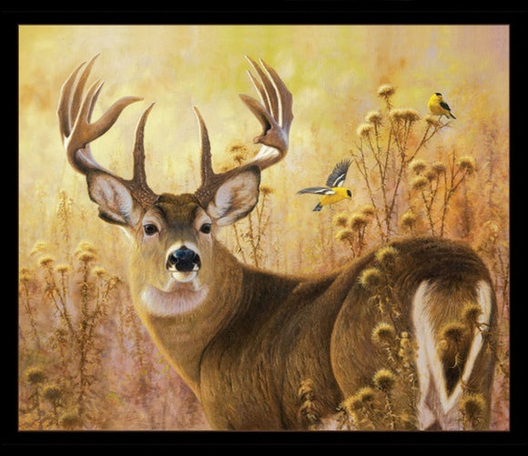 A Buck Stops Here 36” x 44” Panel 44001E-BLACK from Elizabeth Studio by the panel