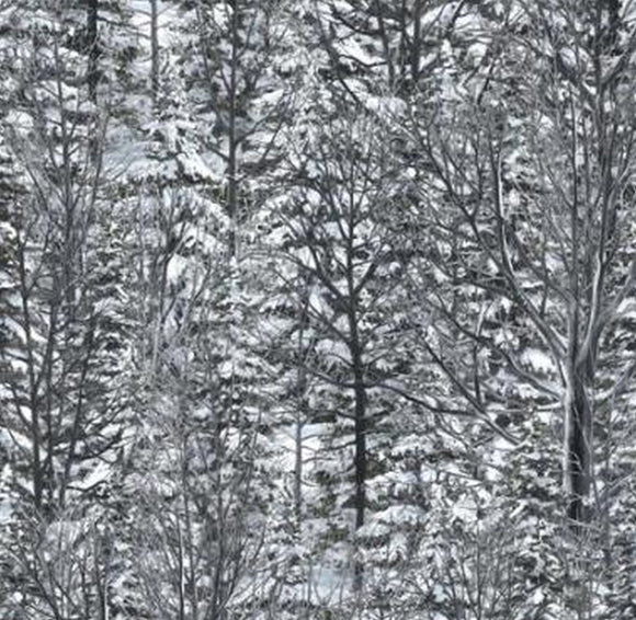 Winter Stillness Snowy Trees 94778-919S by the yard