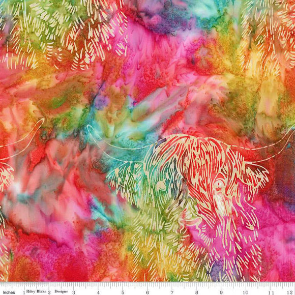 Expressions Batiks A Touch of Celtic Rainbow Sherbet BT23262-128 by Patience Griffin from Riley Blake by the yard