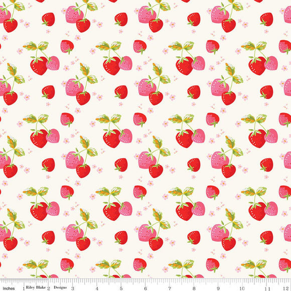 Picnic Florals Strawberries Cream C14612-CREAM