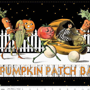 Pumpkin Patch Barn Dance Border Stripe White CD14573-WHITE by J. Wecker Frisch from Riley Blake by the yard