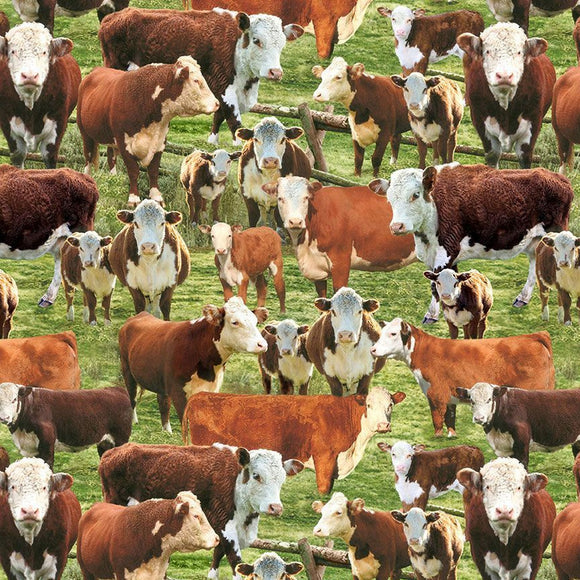 Hereford Cows in a Corral WEST-CD3341 MULTI from Timeless Treasures by the yard