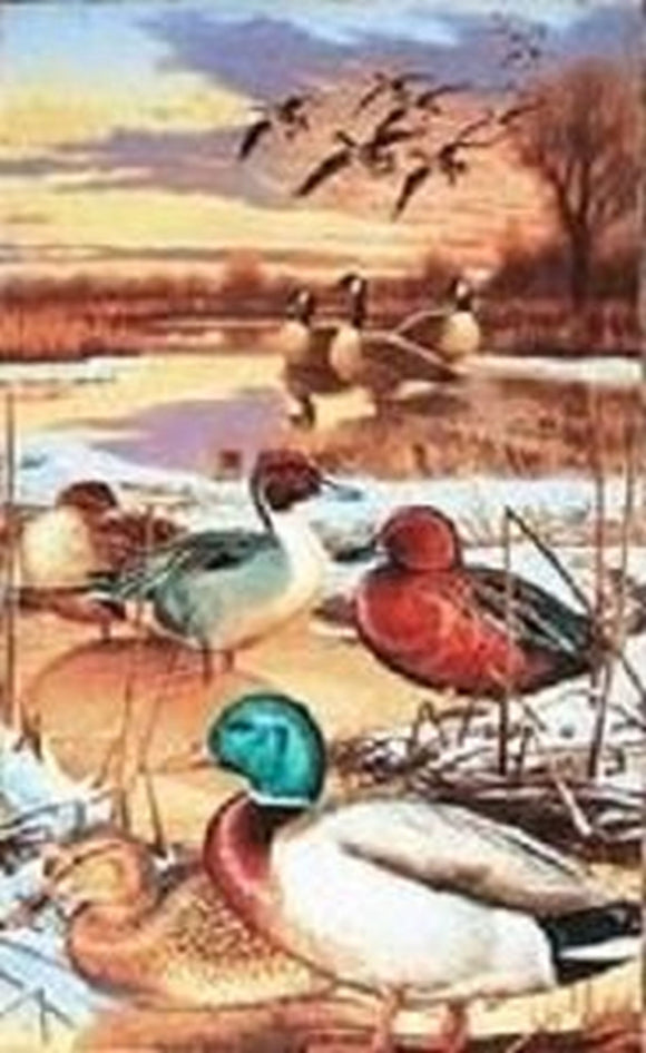 Duck Duck Goose 9116 482 from Wilmington