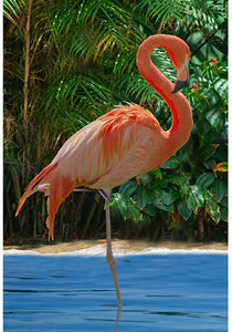 Call Of The Wild Flamingo 30" x 42" Panel V5335-264-Flamingo from Hoffman 