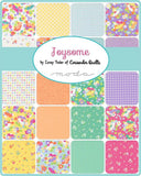 Joysome Jelly Roll 29250JR by Corey Yoder for Moda by the roll