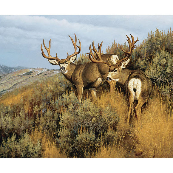 Majestic in Nature Low Country Mulies Panel 36