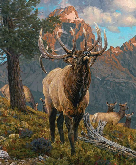 Majestic in Nature Grand Elk Panel 36