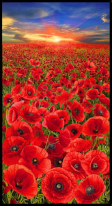 Sunset Poppies Poppy Field 24" x 44" PANEL-CD2520 MULTI from Timeless Treasures 