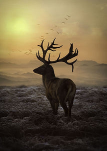 Call Of The Wild Sunset Stag 30" x 42" Panel T4957-151-Sunset from Hoffman