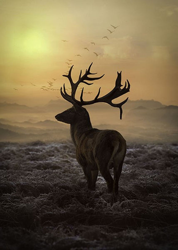 Call Of The Wild Sunset Stag 30