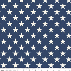 108" Wideback Freedom Garden WB15629-BLUE by My Mind's Eye from Riley Blake Designs by the yard