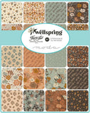 Wellspring 2.5" Mini Charm Pack 45670MC by Fancy That Design House from Moda by the pack