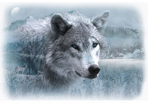 Call Of The Wild Frost Wolf 42" x 29" Panel V5212-113-Frost from Hoffman