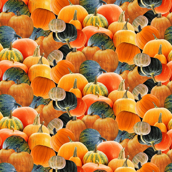 Autumn Splendor Orange Tossed Pumpkins Fabric 270-35 from Henry Glass by the yard