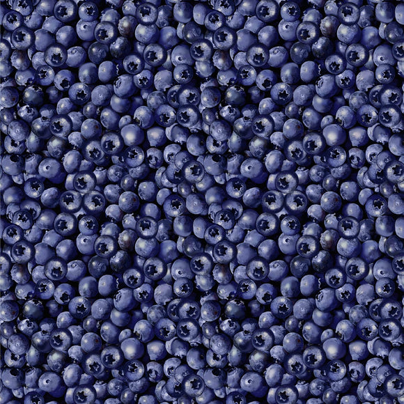 Blueberry Hill Blue Packed Blueberries 12636-55 from Benartex by the yard