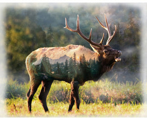 Call Of The Wild Sunset Elk 34" x 44" Digital Panel U5068-151-Sunset from Hoffman by the panel