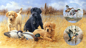 Faithful Friends 44" x 24" Dog Panel DP22734-30 from Northcott by the panel