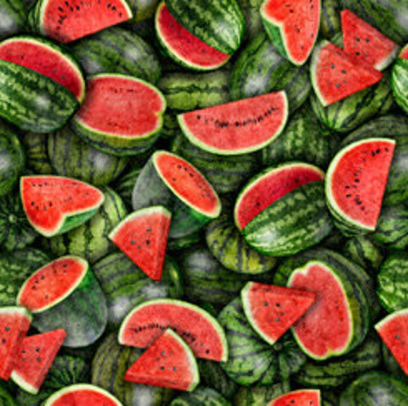 Fresh Watermelon Fabric 28449-GR from Quilting Treasures by the yard
