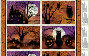 Frightful Night Placemat Panel 20502-936 from Wilmington
