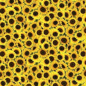 Hen House Yellow Packed Sunflowers Fabric C8781 from Timeless Treasures