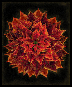 Holiday Spice Black With Gold Metallic 36" x 43" Digital Poinsettia Panel CM8510 from Timeless Treasures by the panel