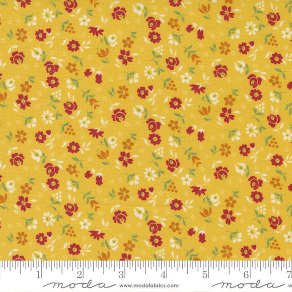 Sunflower Sunset Yellow Packed Sunflower Fabric C1134 from Timeless  Treasures by the yard