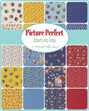 Picture Perfect 30's Reproduction Jelly Roll 21800JR by American Jane from Moda by the roll