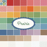 Prairie Rolie Polie by Lori Holt RP12300-40 from Riley Blake by the roll