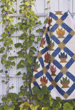Quilts of Love and Valor Quilting Book by Becky A. Wright