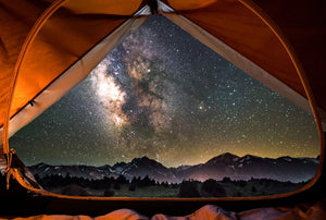 Sleeping Under The Stars Night Time 30" x 44" Panel U5077-217 from Hoffman by the panel