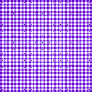 Sorbet Essentials Purple Check Fabric 23691-V from Quilting Treasures by the yard