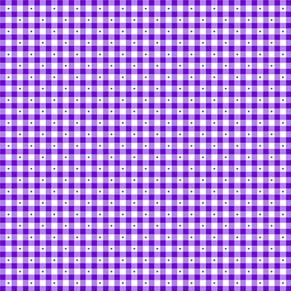 Sorbet Essentials Purple Check Fabric 23691-V from Quilting Treasures by the yard