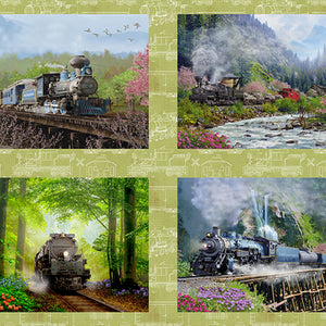 Steam In The Spring Train Pillow Panel 18719 from 3 Wishes by the panel. Hu