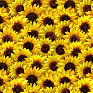 Sunflower Sunset Yellow Packed Sunflower Fabric C1134 from Timeless Treasures by the yard