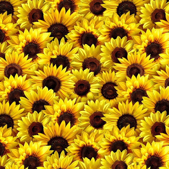 Timeless Treasures Sunflower Sunset Yellow Packed Sunflowers Fabric
