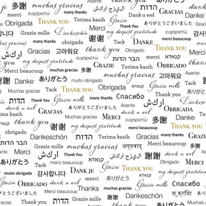 Thank You In Any Language 108" Wide Backing Fabric 52479-2 from Windham by the yard