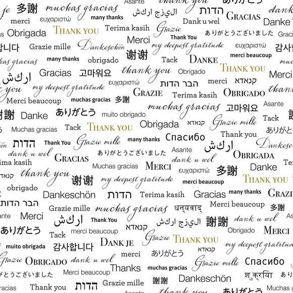 Thank You In Any Language 108