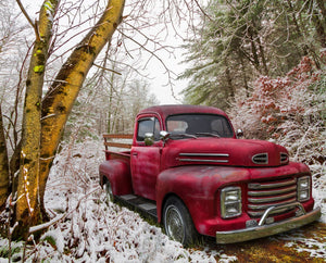 Truck In The Snow 36" x 44" Digitally Printed Panel AL49472C1 from Four Seasons by David Textiles by the panel