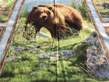 Bear Meadow Panel 94751-427