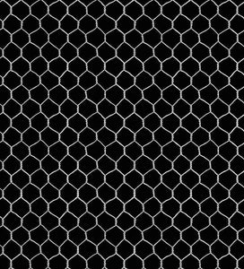 Black Chicken Wire C8148-BLK from Timeless Treasures
