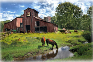 Sun Up to Sun Down 30" x 44" Barn Horses Digital Panel U5070-83 from Hoffman by the panel