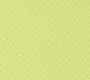 Sunwashed Light Lime Pomegranate Polka Dots 29166-34 by Corey Yoder from Moda